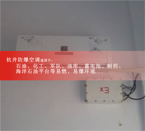 1.5匹喷漆房用防爆空调