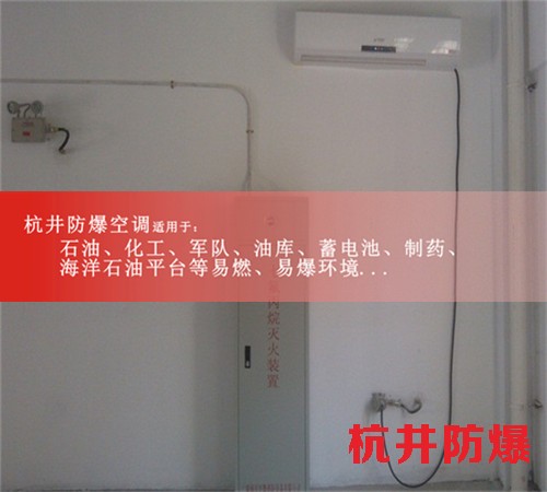 防爆冷库防爆空调机案例图